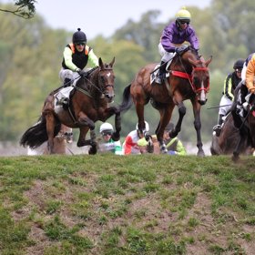 Proslulá Velká pardubická může být pro některé koně i posledním závodem.