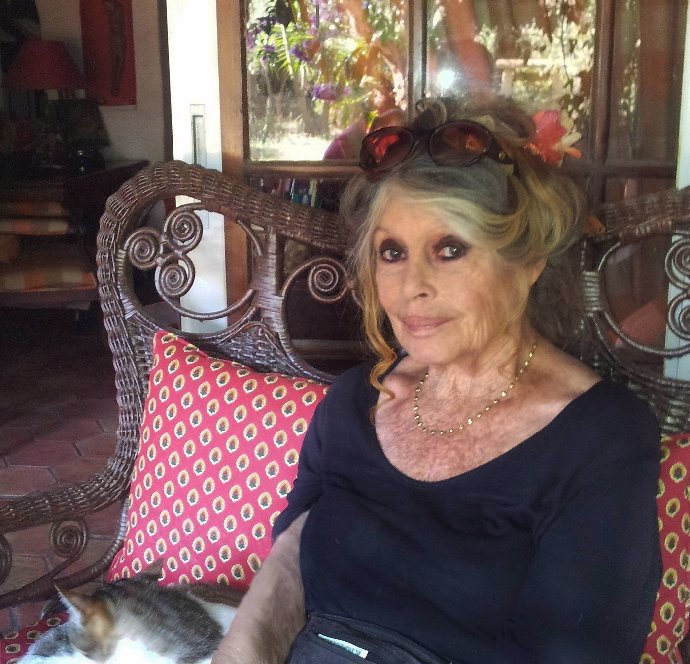 Brigitte Bardot zemřela v 91 letech.