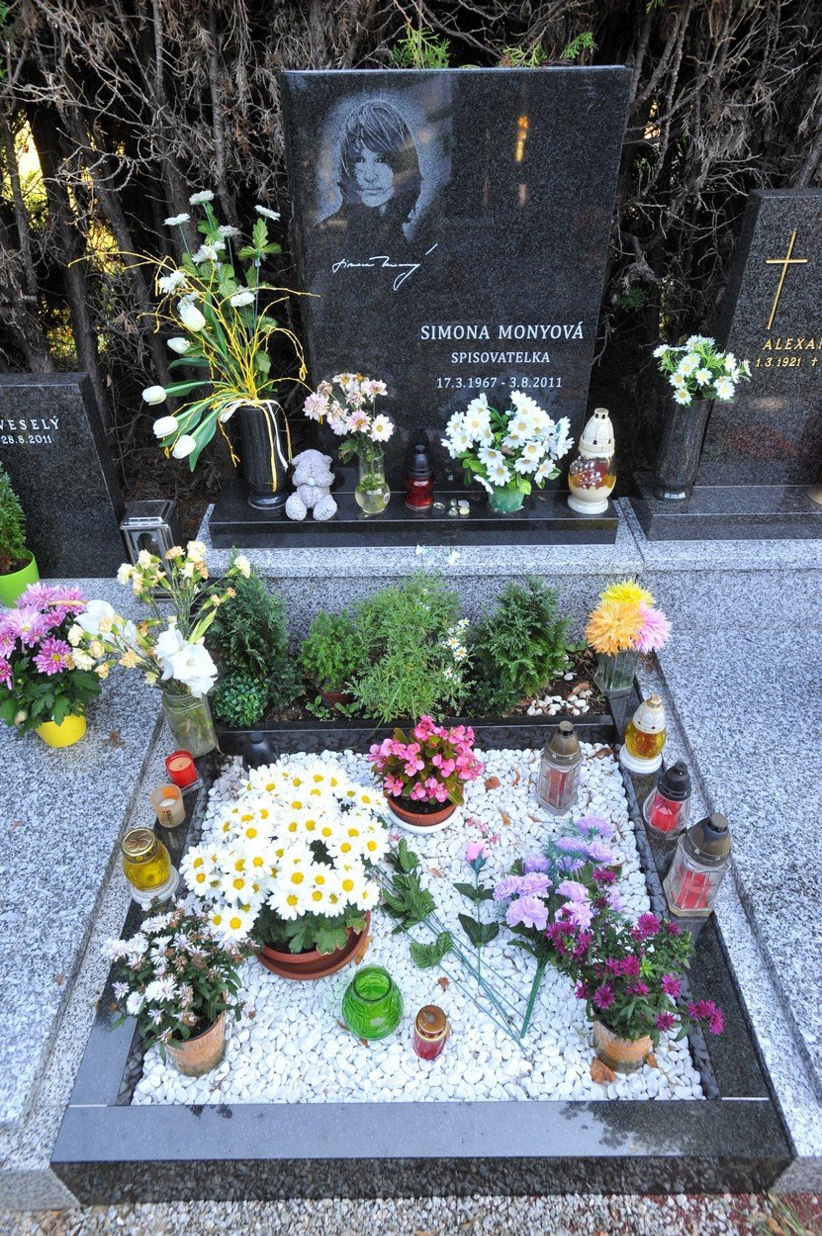 galerie-simona-monyov-man-el-j-zasadil-est-smrt-c-ch-ran-fotka