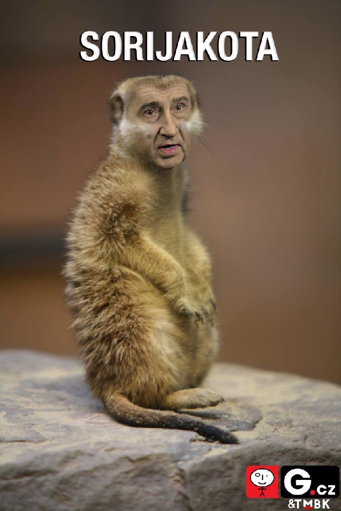 Sorijakota roztomilá!