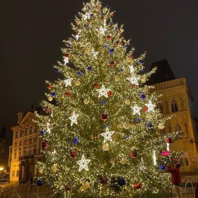 Byli se podívat i na pražský vánoční stromeček.