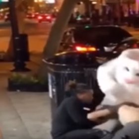 Video má neskutečný úspěch.