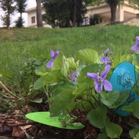 V zahradě brněnské funkcionalistické vily Stiassni můžou děti hledat vajíčka.