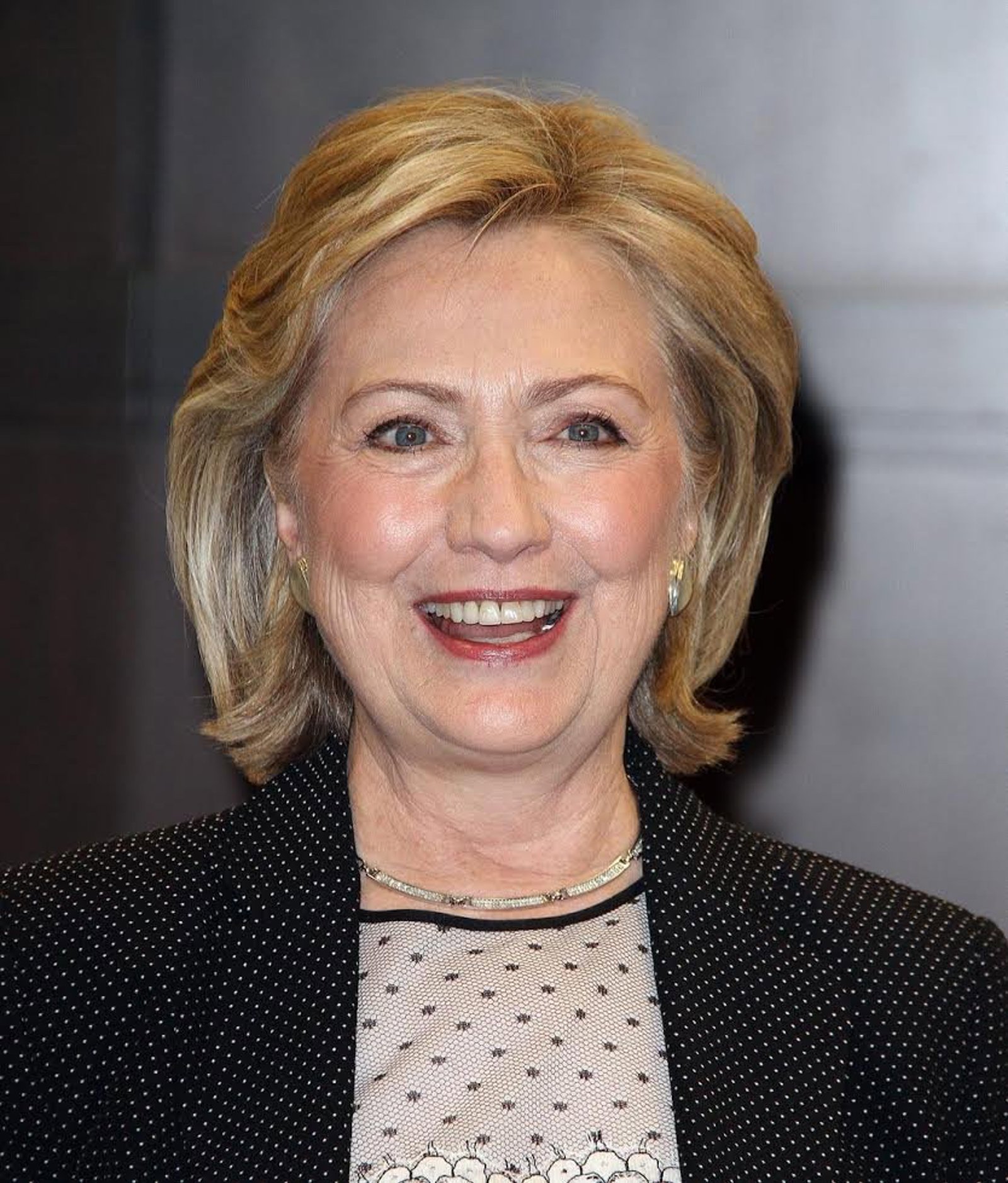 Galerie: Petr Macinka čelí za střet s Hillary Clinton kritice. Ostuda ...