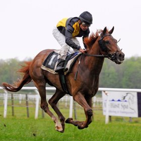 Těla leží na slunci pod plachtami ve čtyřiceti stupních.