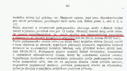 FOTO: Při čtení zpráv soudních znalců je těžké uvěřit, že se něco podobného může na pohotovosti renomované nemocnice stáT.