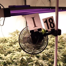 Do vyšetřování si tento případ převzalo Krajského ředitelství policie Moravskoslezského kraje a je zahájeno trestní stíhání proti všem zadrženým pachatelům.