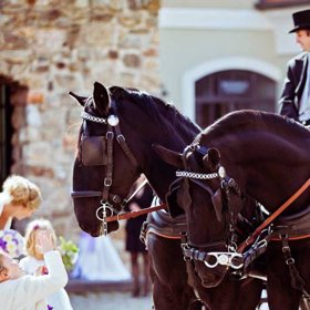 Čapí hnízdo nabízí svatební balíčky.