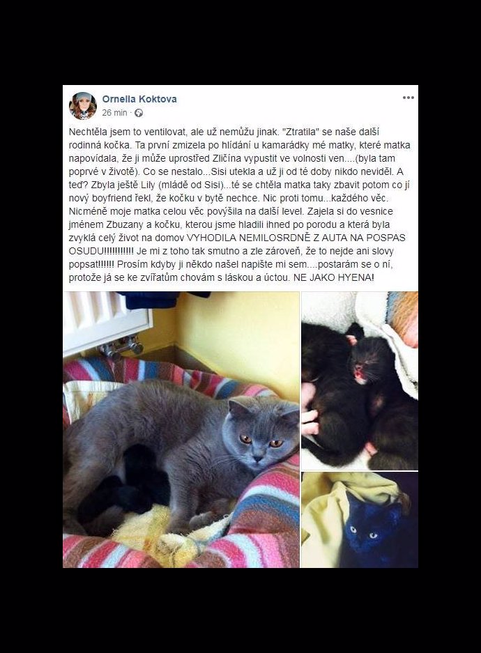 Ornella se také vyjádřila...