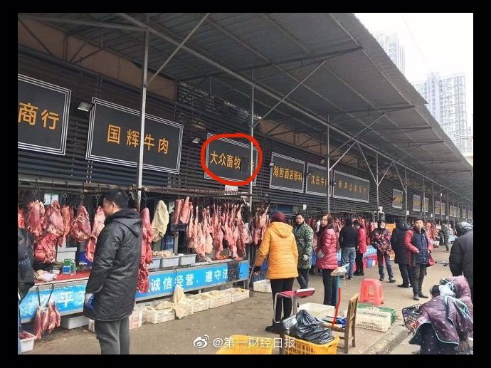 Na tomto trhu s mořskými plody a divokými zvířaty se měl koronavirus přenést na člověka.