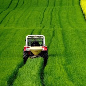 Řešení je i v zemědělství, pole se mohou rozdělit a na každém pěstovat jiné plodiny.