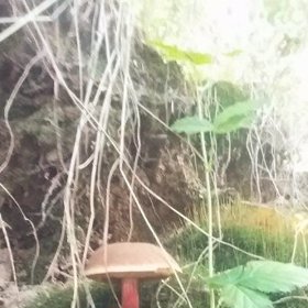 Máte svá oblíbená místa na houby?