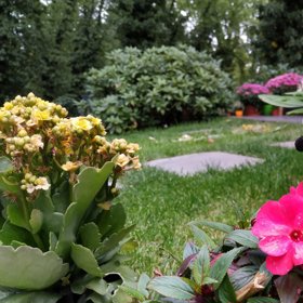 Někdo dokonce přinesl včelku Máju.