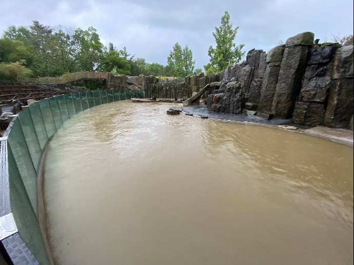 Bleskové povodně neminuly ani pražskou zoo.