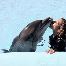 Olga Lounová plavání s delfíny miluje.