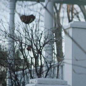 Čarodějnice se živí výhradně dětmi.