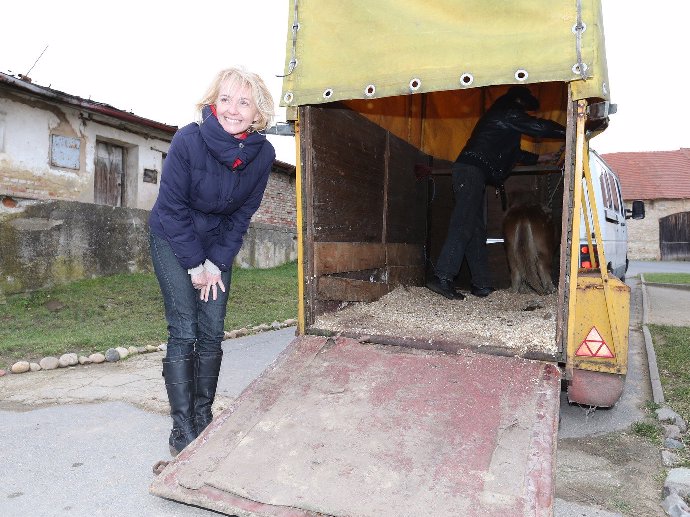Žilková si zřejmě přebírá maso na guláš, na snímku není vidět prý přítomný Jakub Prachař, který si ve stejnou chvíli před autem chystal jateční pistoli a strunu na škrcení, pro sichr. S Agátou to prý má při hádkách podobné.