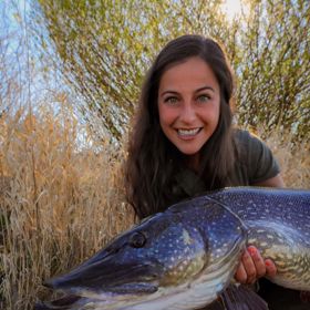 Claudii ale nejsou cizí ani dravci. 