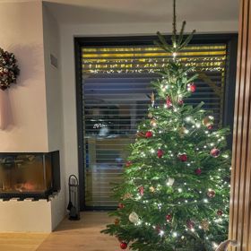 Vánoční strom Nikol Leitgeb.