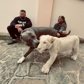 Karlos Vémola se svým psem Beastem a lvicí Princess. 