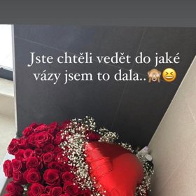 Dominika darované růže musela dát do vany.