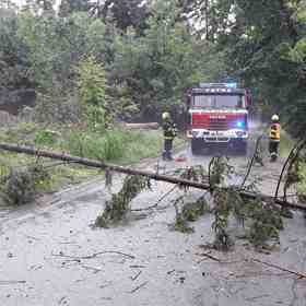 Velké problémy měli hasiči se spadlými stromy.