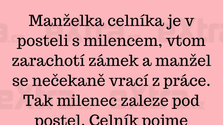 Celník se k tomu postavil po svém
