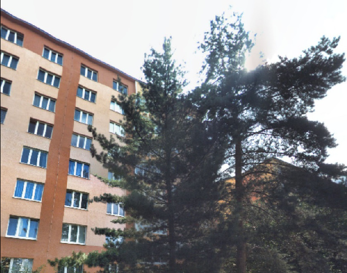 Dům, v kterém Monika od družstva získala byt za 80 tisíc korun.