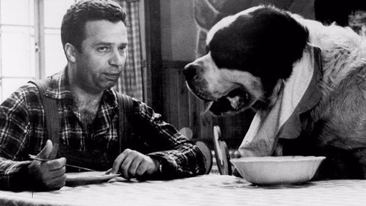 Největší zajímavosti z komedie Bohouš: Párky pro psa ve vlasech Sováka i nesnesitelný pach na place