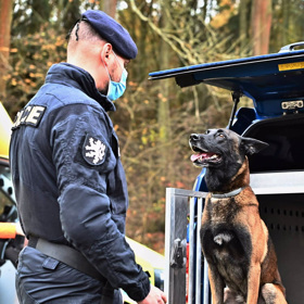 Společně slouží i v České republice. Tam Fanouš pomáhá především při pátrání po pohřešovaných a hledaných osobách, nebo v případě potřeby vypracování pachové stopy nějaké osoby.