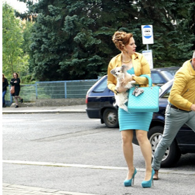 Diváci se dočkají i Petry Nesvačilové. 