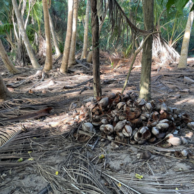 Na malou i velkou budou soutěžící chodit do lesa nebo oceánu.