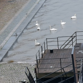 Povodňová opatření v Praze.