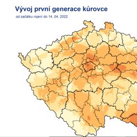 Vývoj kůrovce.