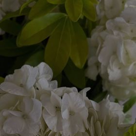 Monika Marešová poděkovala svým příznivcům za krásné zprávy.