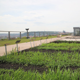 Národní zemědělské muzeum bude mít Muzejní noc 11. 6. 2022.