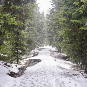 Tady někde učinili záchranáři smutný nález.