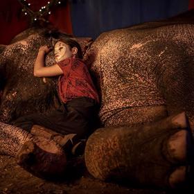 Herečka Jenna Ortega ve filmu Slon na útěku zachraňovala slona.