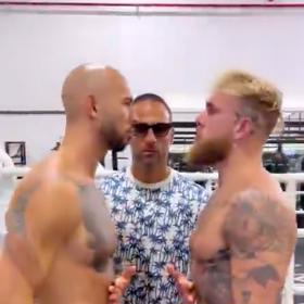 Jake Paul a Andrew Tate naznačili, že se brzy střetnou v ringu. 