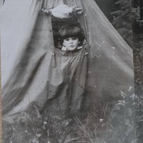 Nikol Leitgeb zamlada.