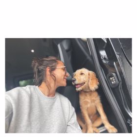 Ještě před porodem si pár pořídil čtyřnohého miláčka.