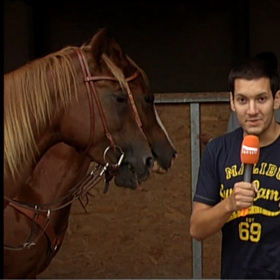 Začínal jako asistent pro fungování redakce.