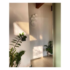 V domě nechybí spoustu pokojových rostlin.