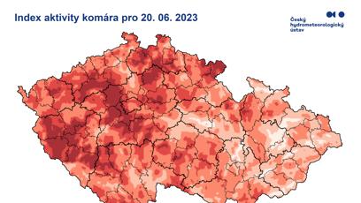 FOTO: Komáři zamoří Česko