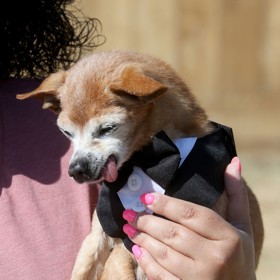 Díky adopci byli zachráněni. 