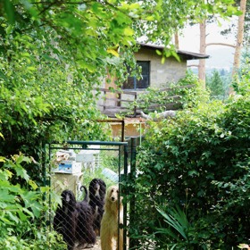 Při příchodu nás vítá štěkot psů