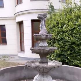 Psi si mohou hrát i venku