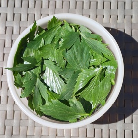 Letošní sklizeň můžete skladovat ve dvou podobách. 