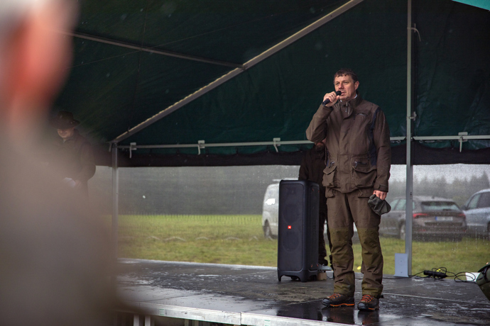 Brdské stromsázení