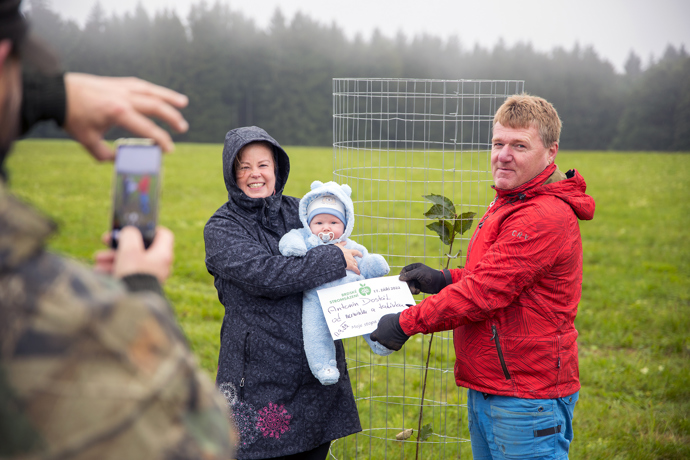 Brdské stromsázení